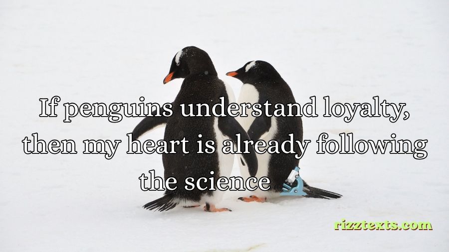 Penguin Rizz Lines