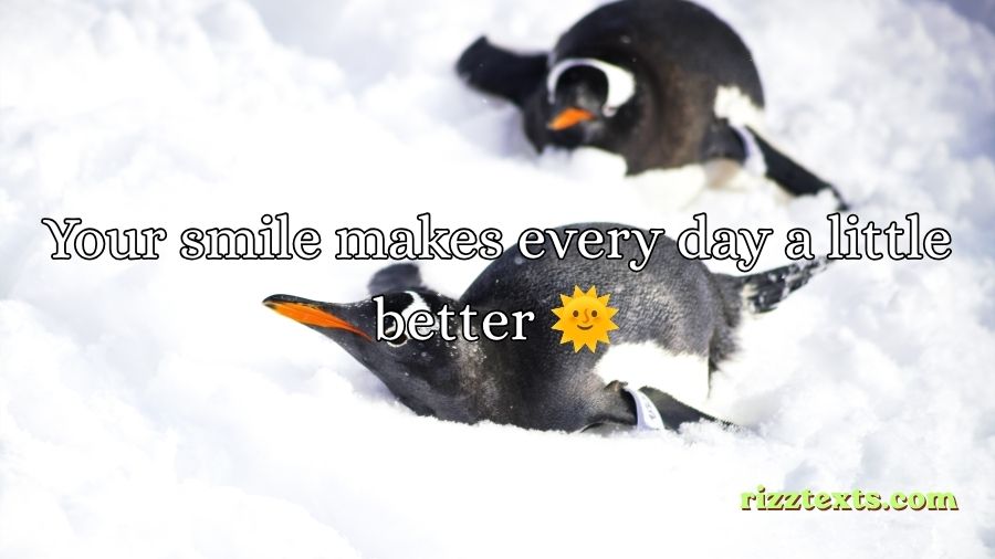 Penguin Rizz Lines