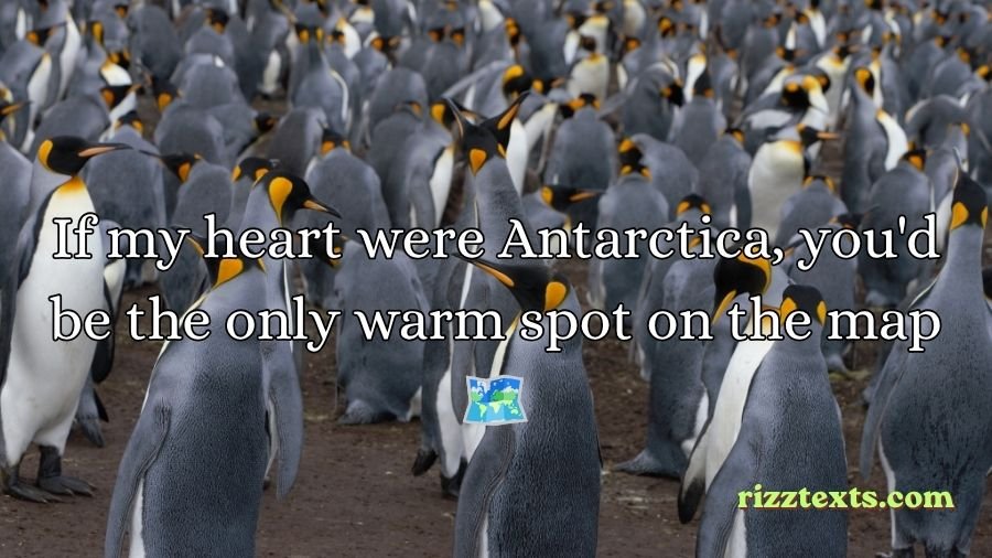 Penguin Rizz Lines