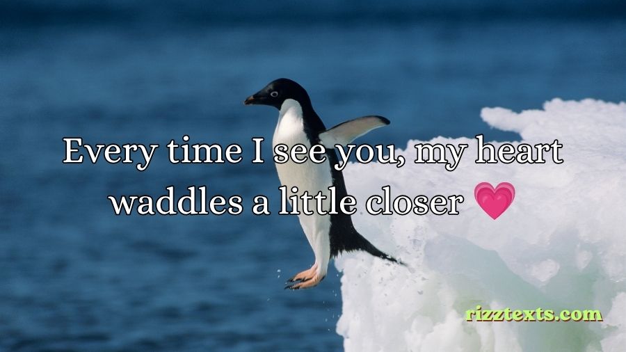 Penguin Rizz Lines