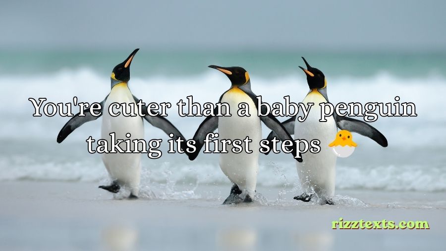 Penguin Rizz Lines