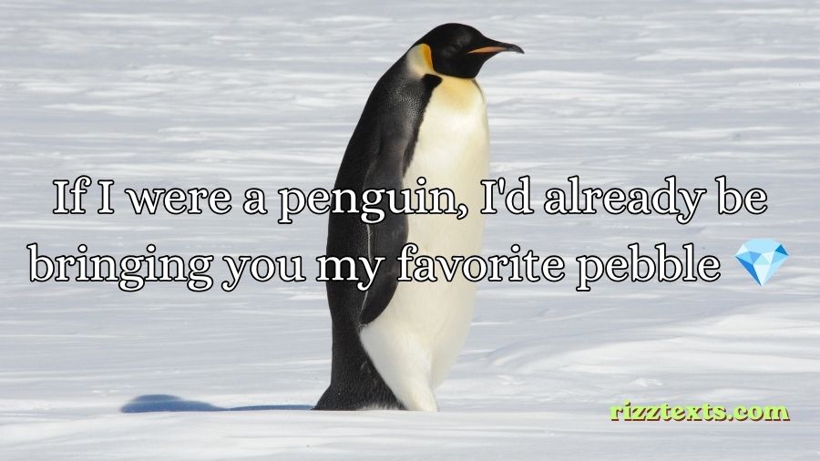 Penguin Rizz Lines