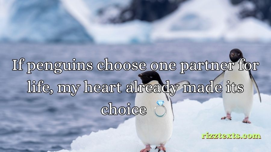 Penguin Rizz Lines