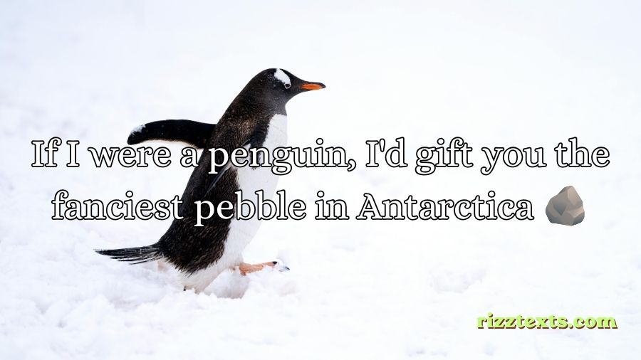 Penguin Rizz Lines