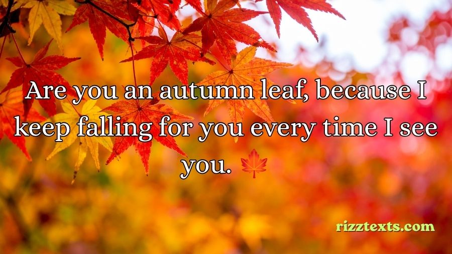 Autumn Rizz Lines
