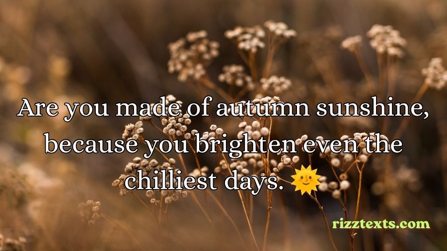 Autumn Rizz Lines