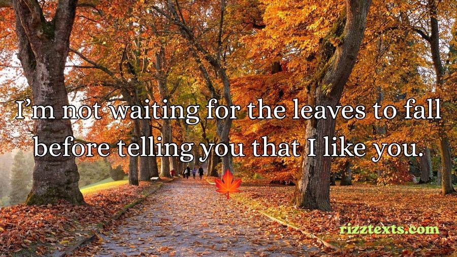 Autumn Rizz Lines