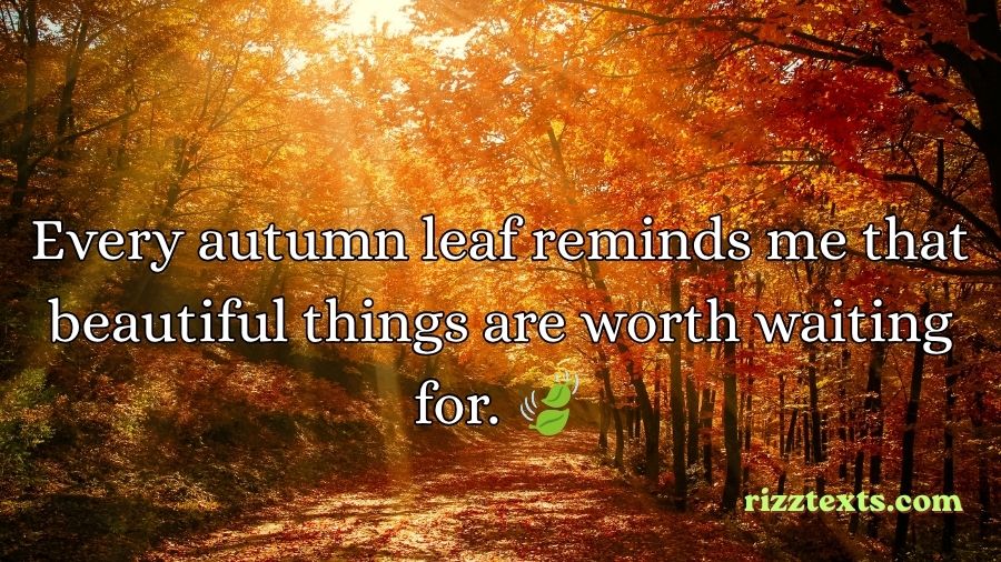Autumn Rizz Lines