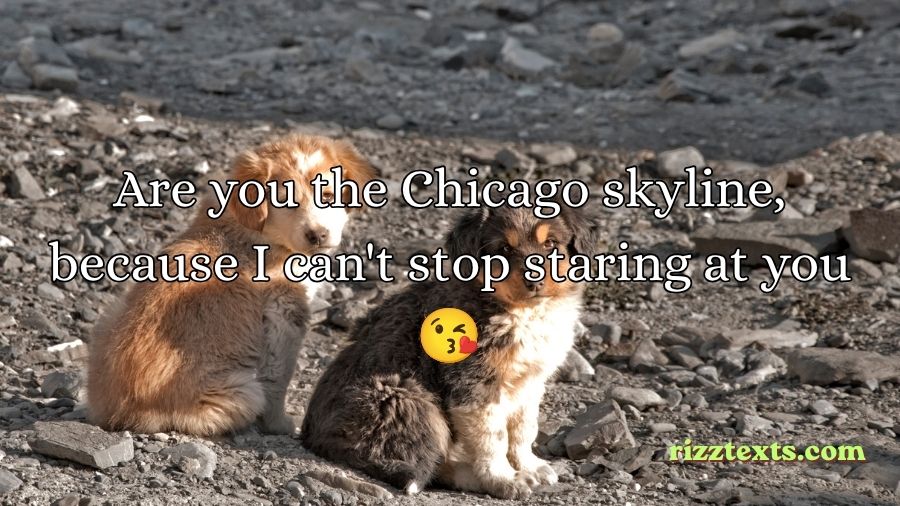 Chicago Rizz Lines