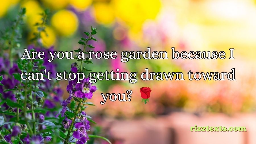 Garden Rizz Lines