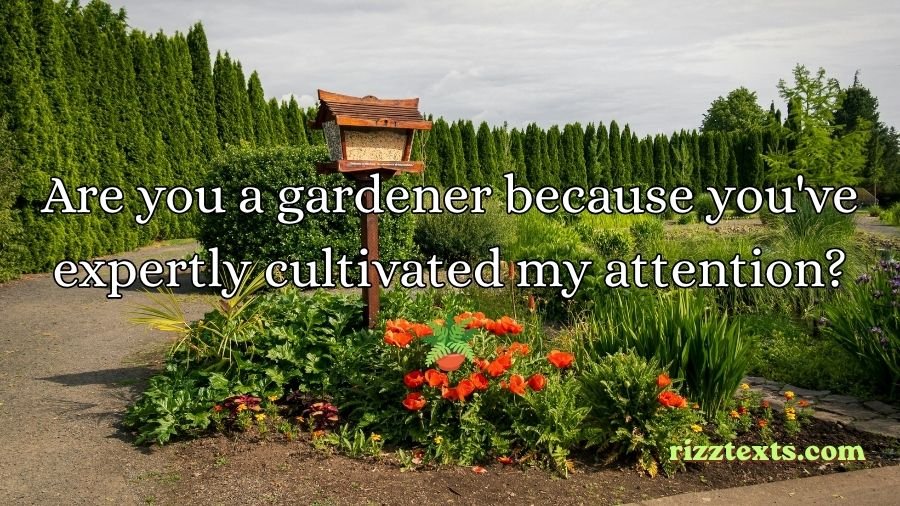Garden Rizz Lines
