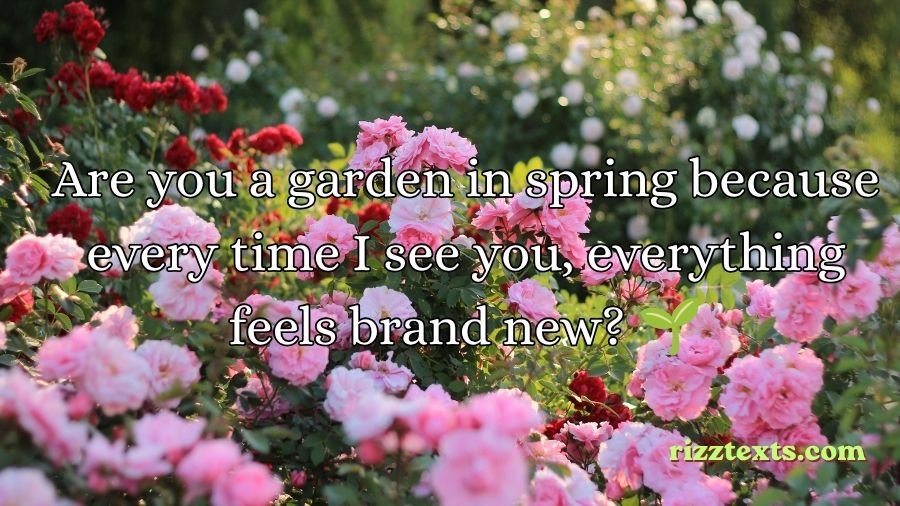 Garden Rizz Lines
