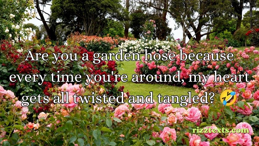 Garden Rizz Lines