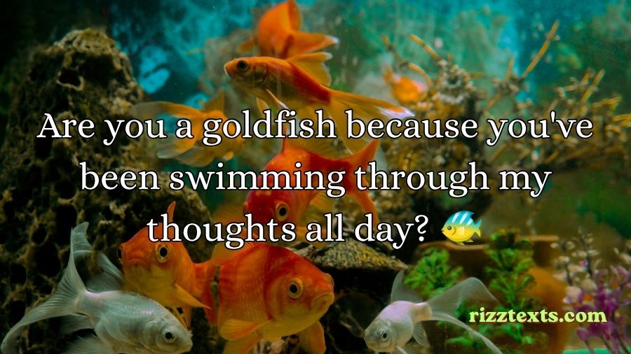 Goldfish Rizz Lines
