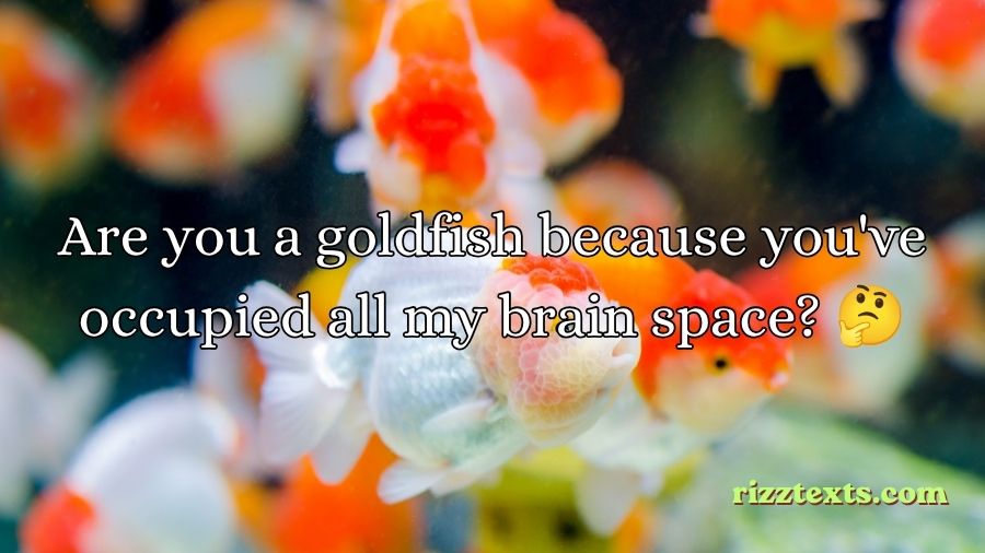 Goldfish Rizz Lines