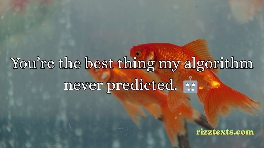 Goldfish Rizz Lines