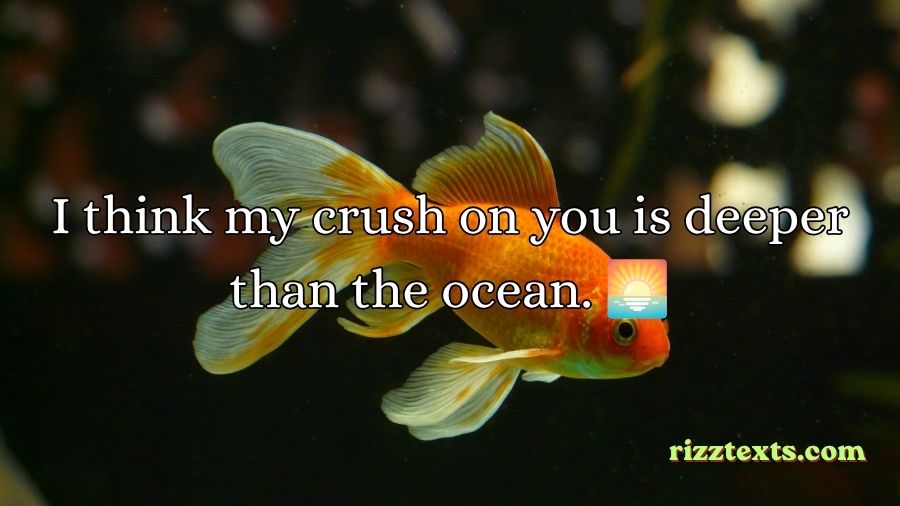 Goldfish Rizz Lines