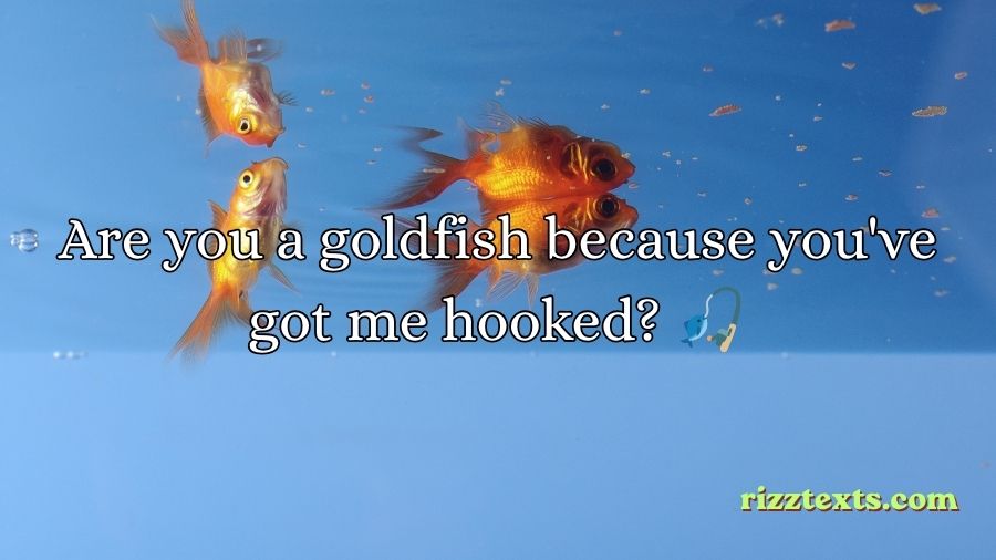 Goldfish Rizz Lines