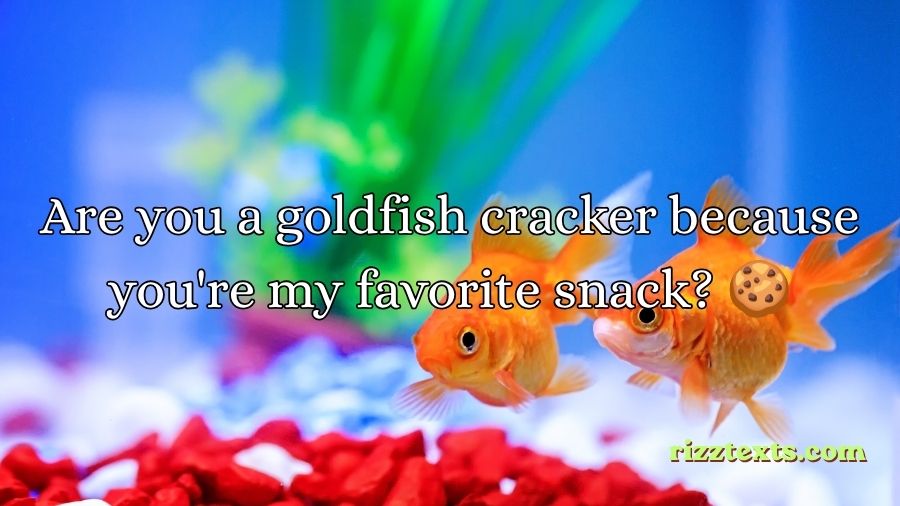 Goldfish Rizz Lines