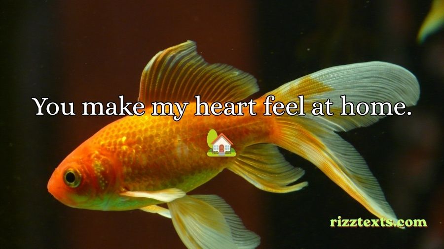 Goldfish Rizz Lines