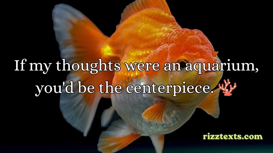 Goldfish Rizz Lines