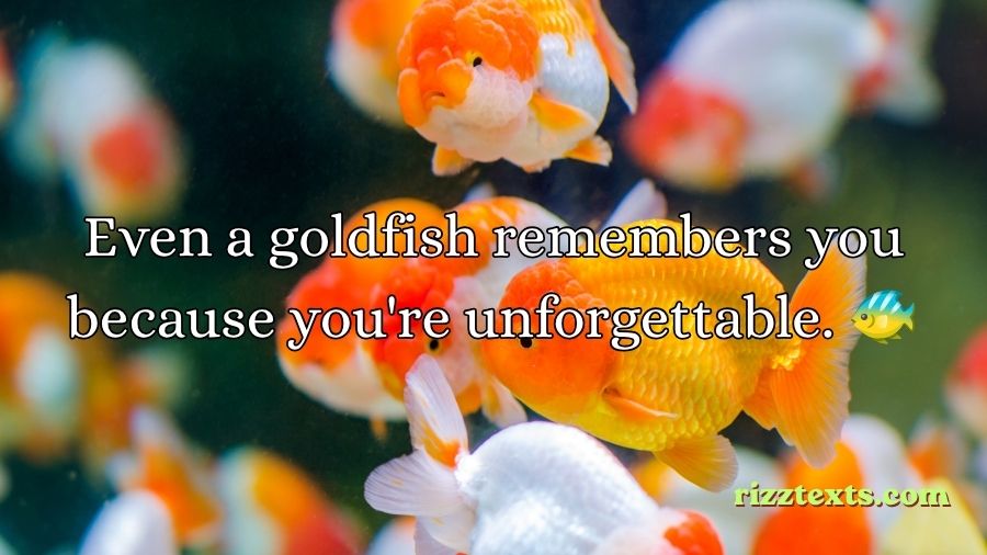 Goldfish Rizz Lines