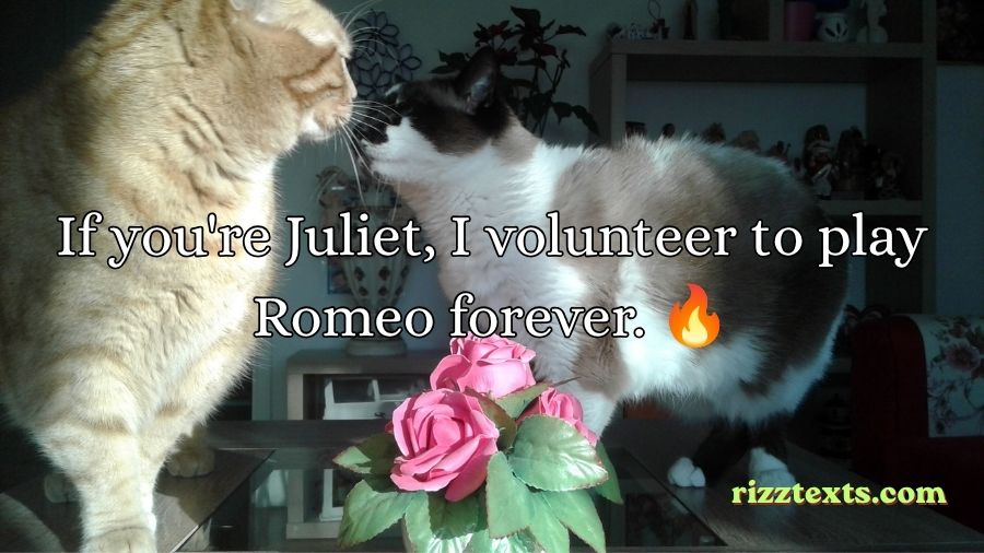 Romeo and Juliet Rizz Lines