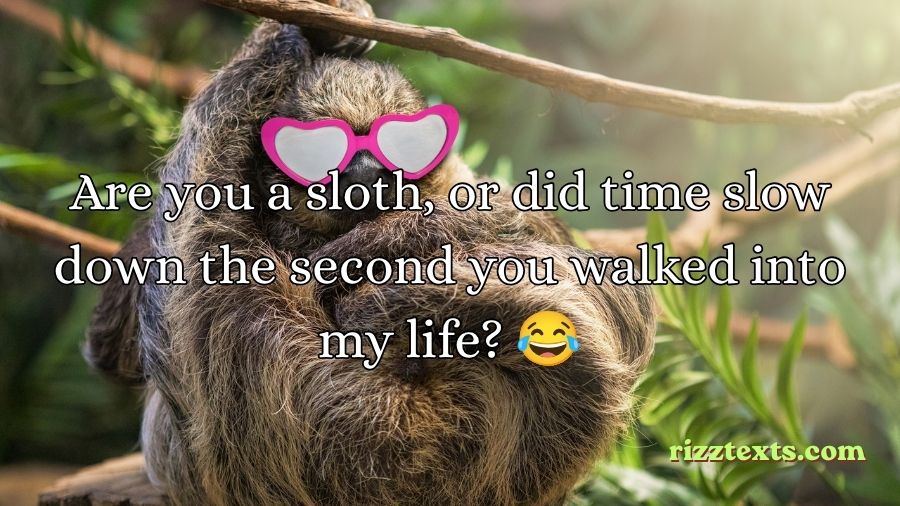 Sloth Rizz Lines