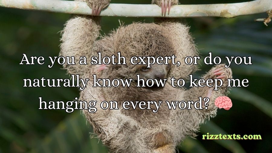 Sloth Rizz Lines