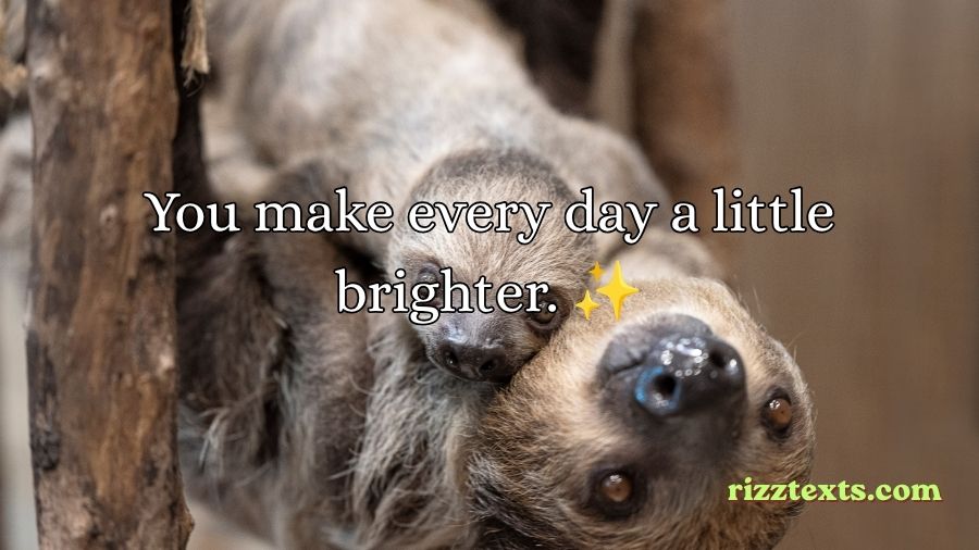 Sloth Rizz Lines