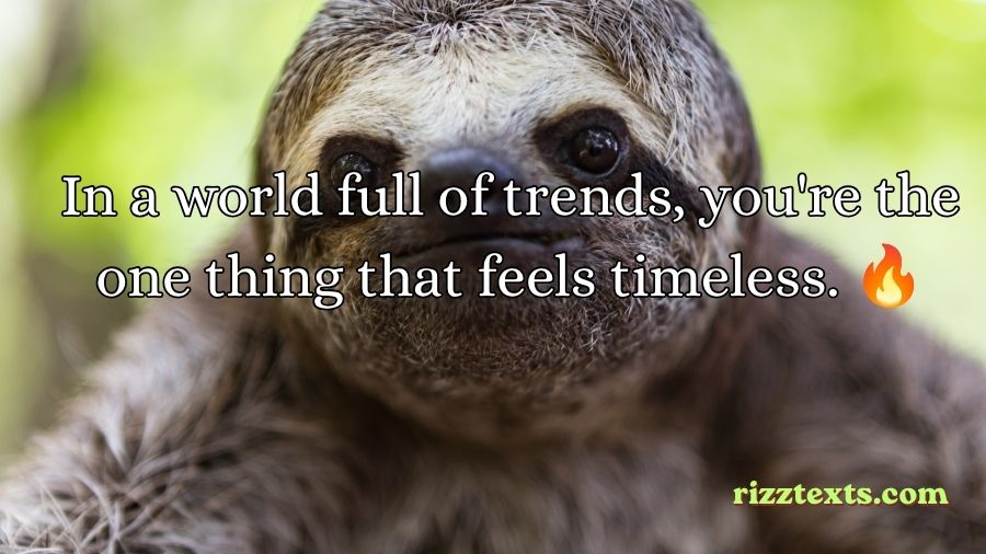 Sloth Rizz Lines