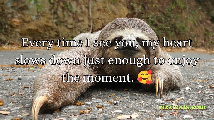 Sloth Rizz Lines