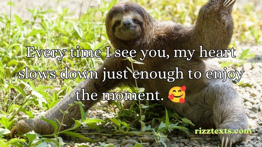 Sloth Rizz Lines
