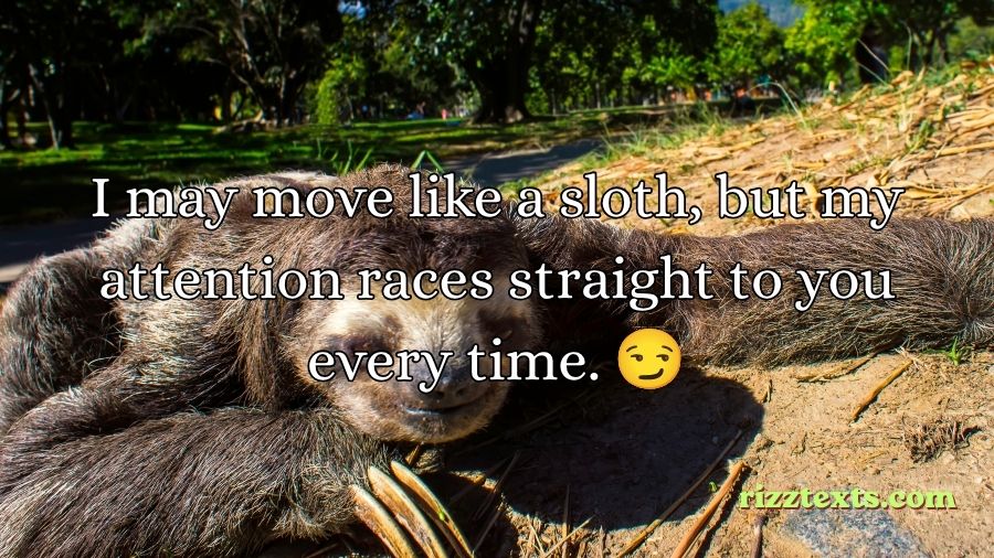 Sloth Rizz Lines