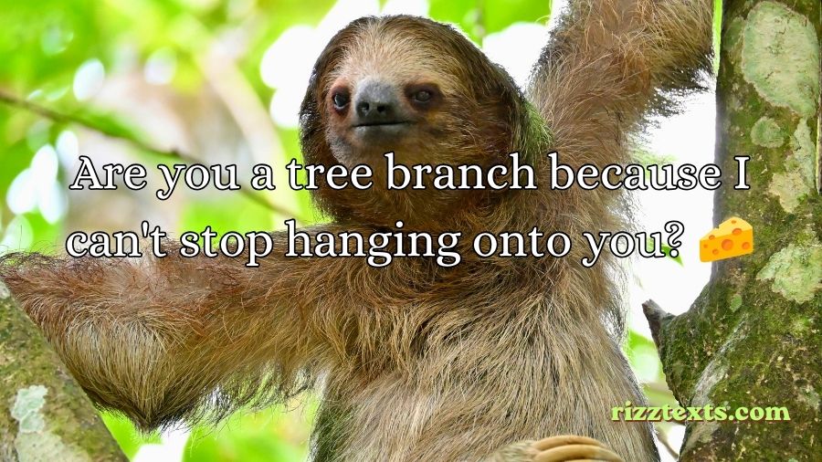 Sloth Rizz Lines