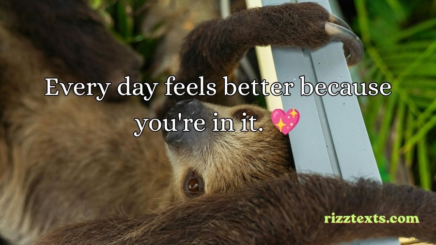 Sloth Rizz Lines
