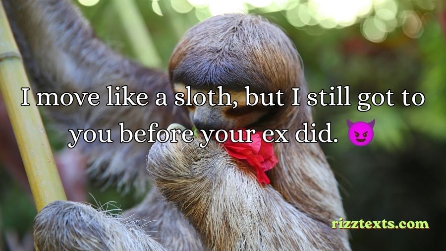 Sloth Rizz Lines