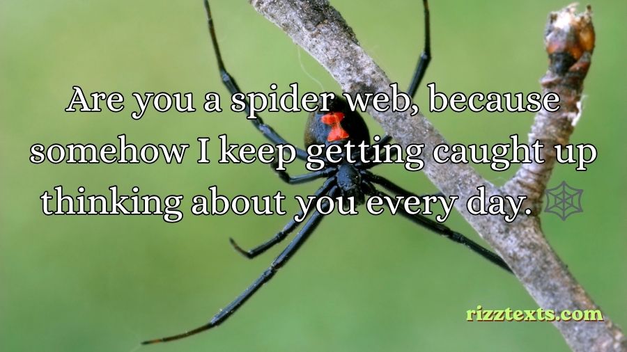 Spider Rizz Lines