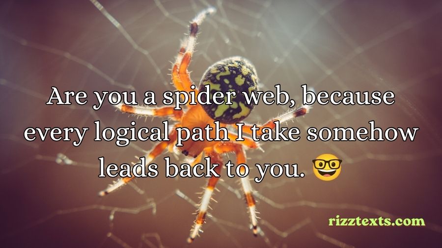 Spider Rizz Lines