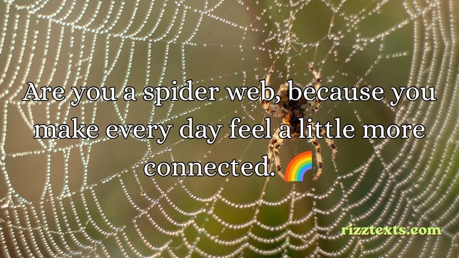Spider Rizz Lines