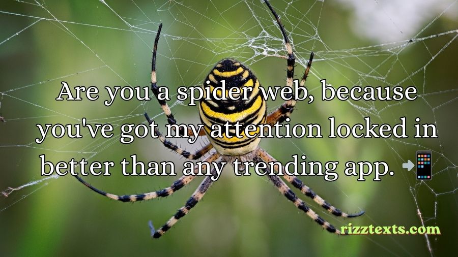 Spider Rizz Lines