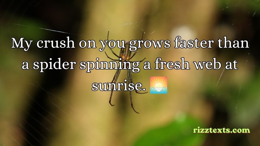 Spider Rizz Lines