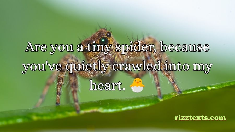 Spider Rizz Lines