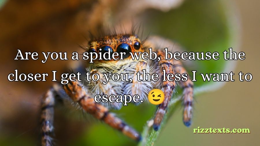 Spider Rizz Lines