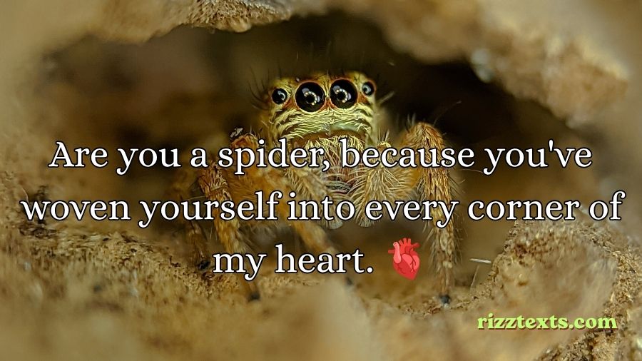 Spider Rizz Lines