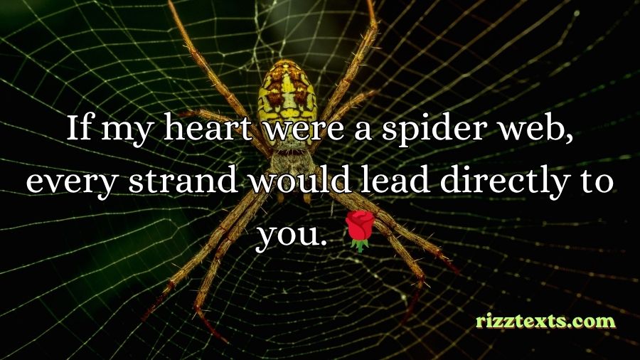 Spider Rizz Lines