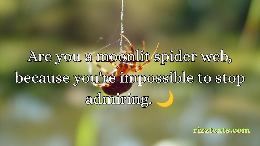 Spider Rizz Lines