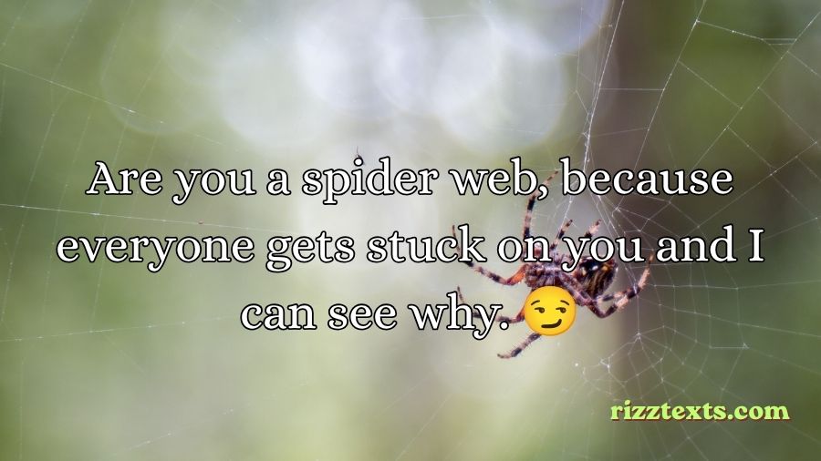 Spider Rizz Lines