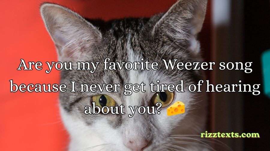 Weezer Rizz Lines