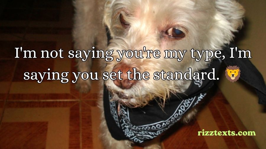 Weezer Rizz Lines